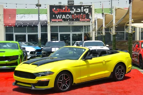 Ford Mustang 2019