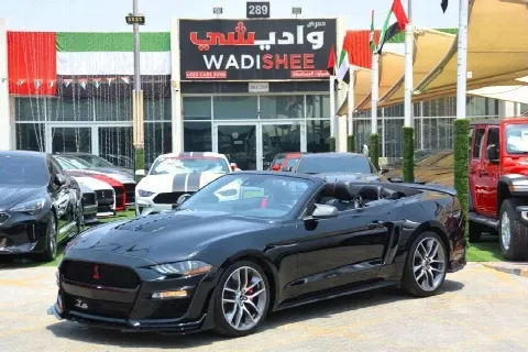 Ford Mustang 2019