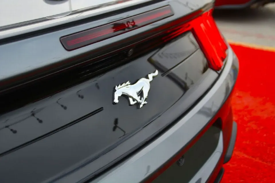Ford Mustang — photo 20