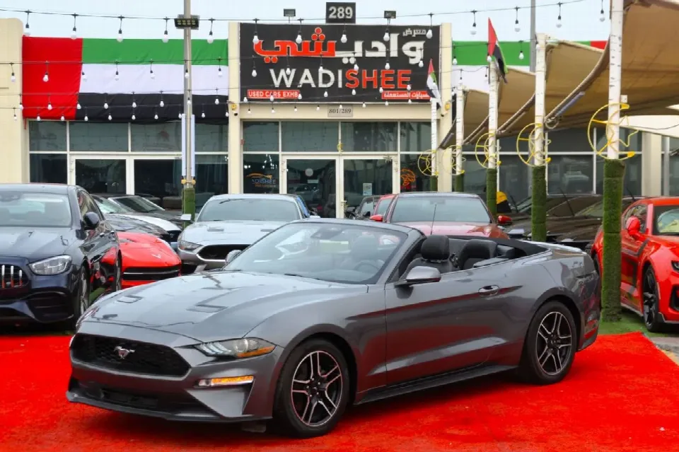 Ford Mustang — photo 1