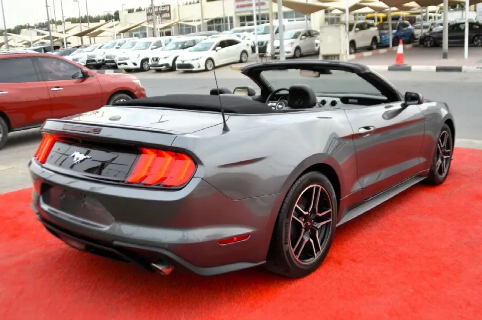 Ford Mustang — photo 6