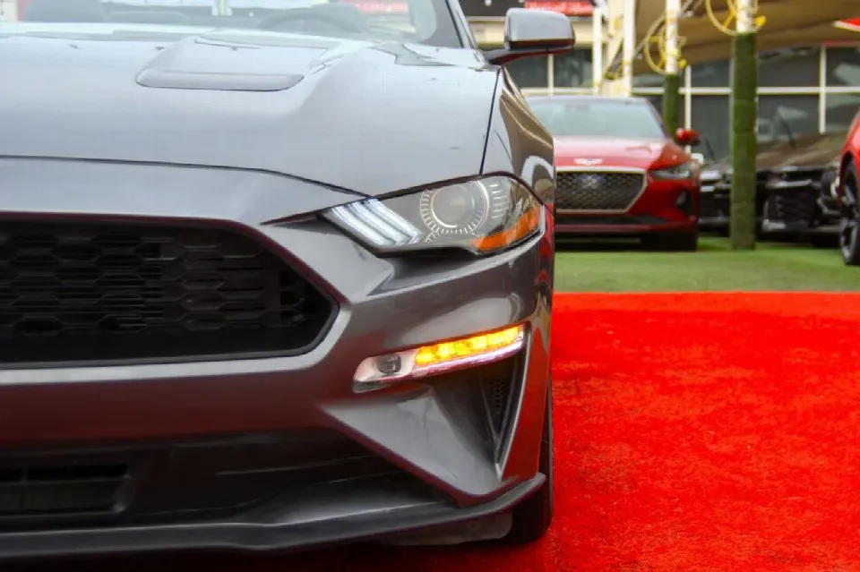 Ford Mustang — photo 12