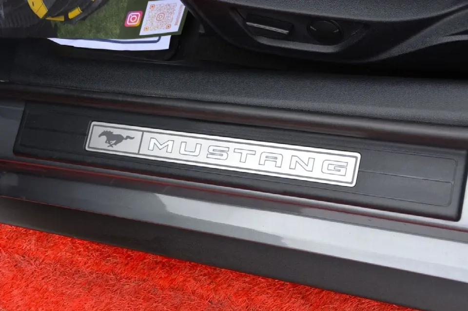 Ford Mustang — photo 18