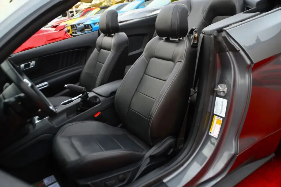 Ford Mustang — photo 17