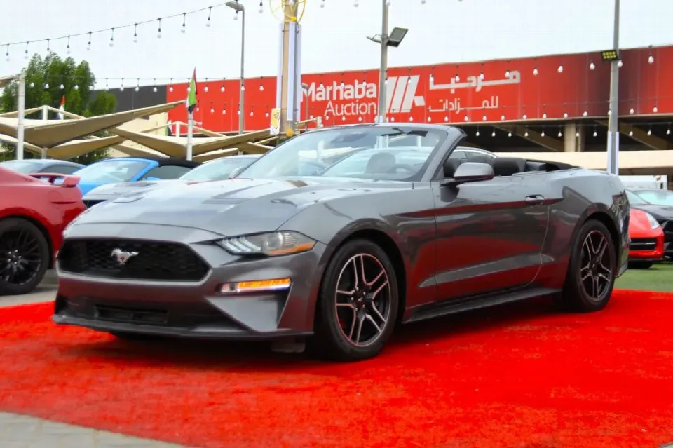 Ford Mustang — photo 3
