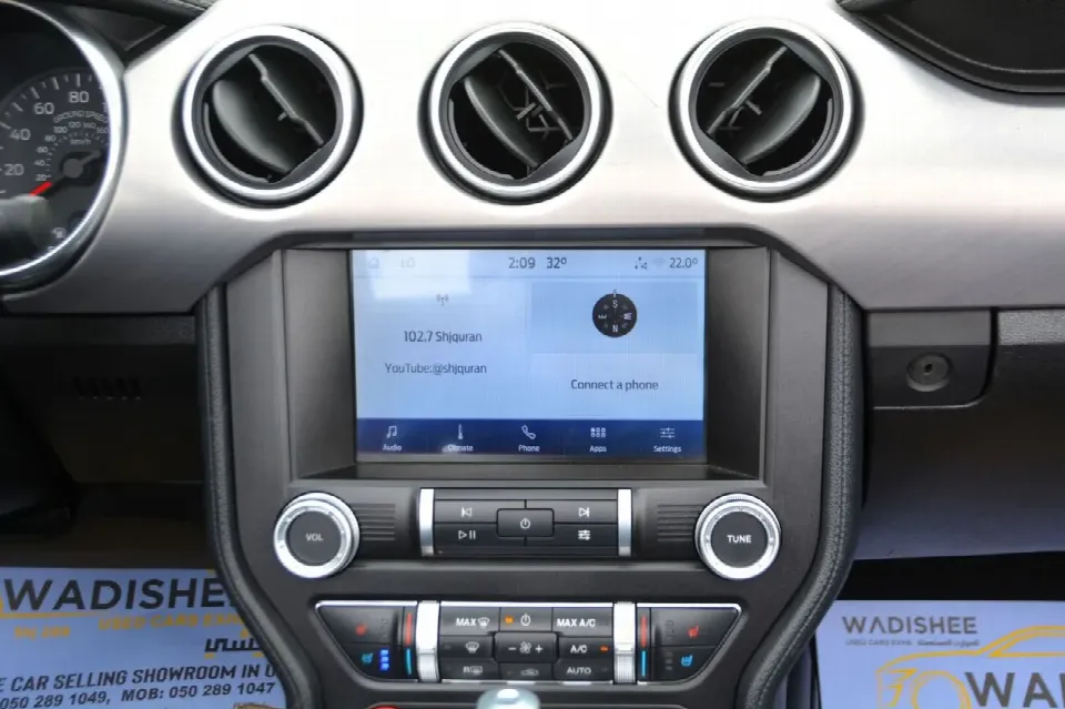 Ford Mustang — photo 10