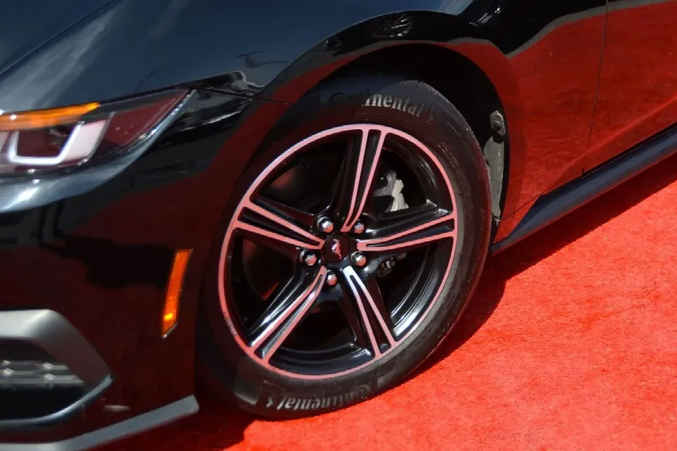 Ford Mustang — photo 12