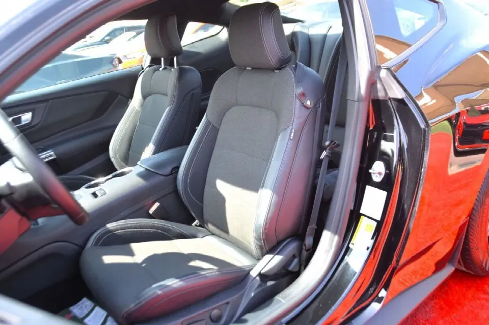 Ford Mustang — photo 16