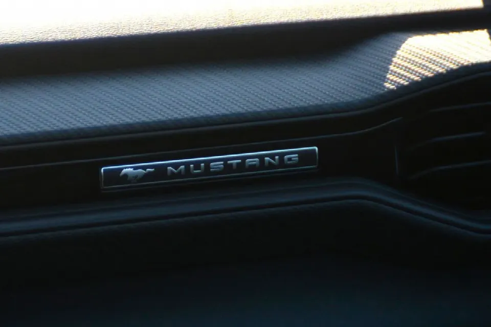 Ford Mustang — photo 18