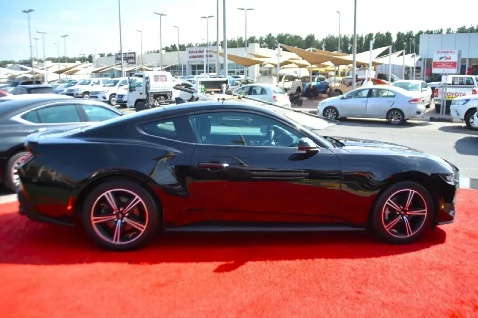 Ford Mustang — photo 20