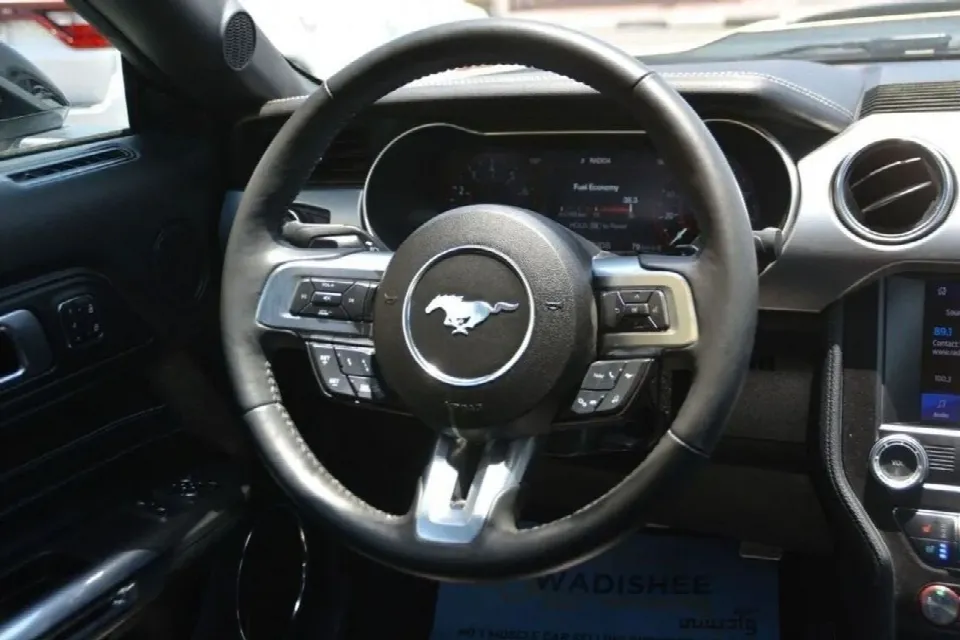 Ford Mustang — photo 8