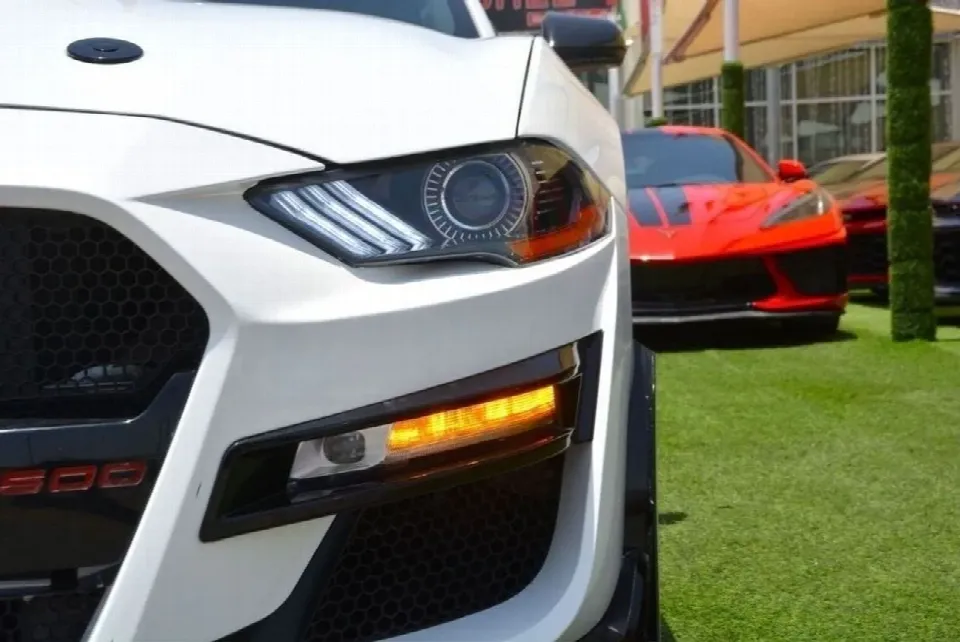 Ford Mustang — photo 13