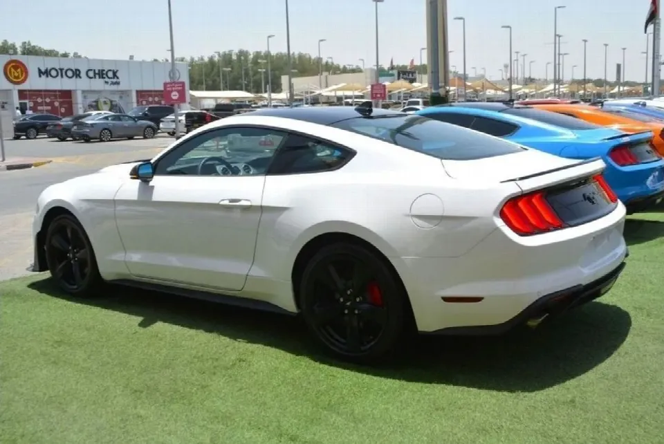 Ford Mustang — photo 6