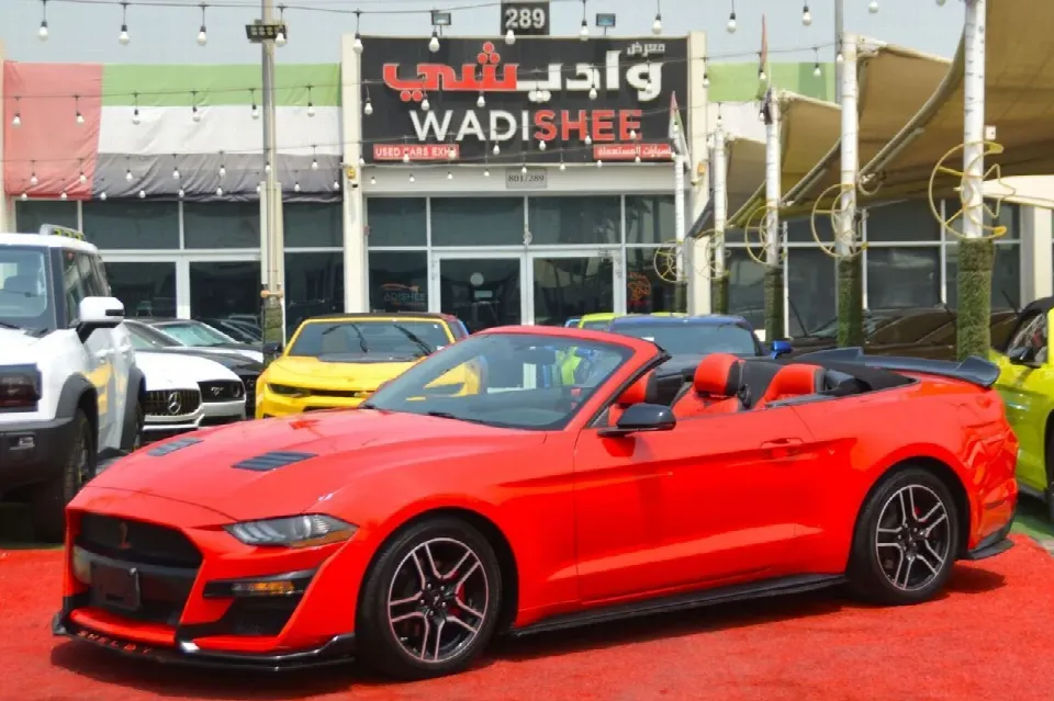 Ford Mustang 2019 — photo 1