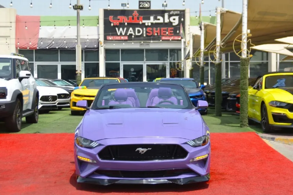 Ford Mustang 2019 — photo 2