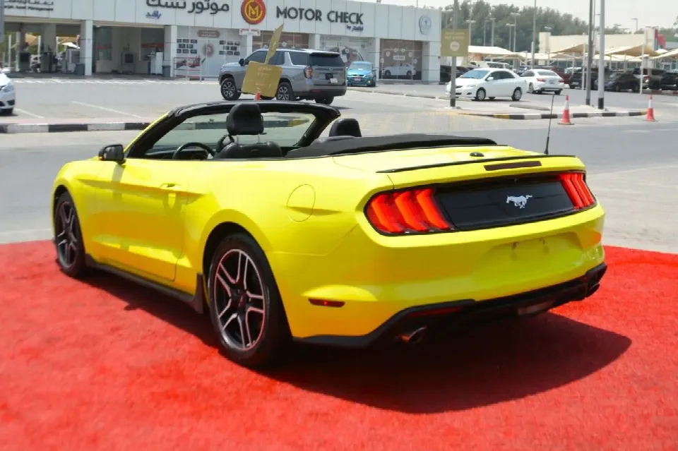 Ford Mustang 2019 — photo 5