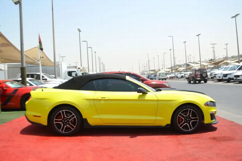 Ford Mustang 2019 — photo 10