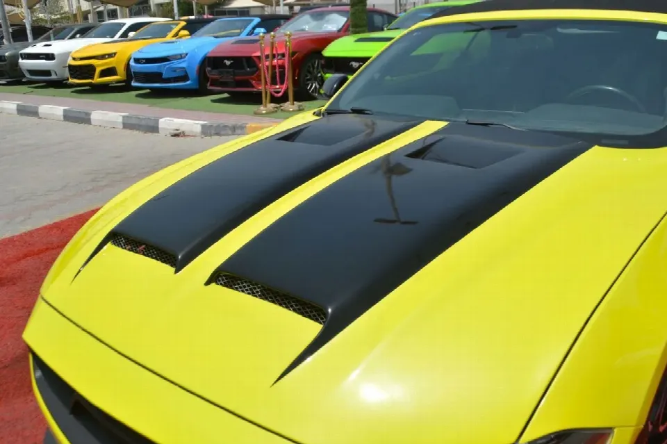 Ford Mustang 2019 — photo 14
