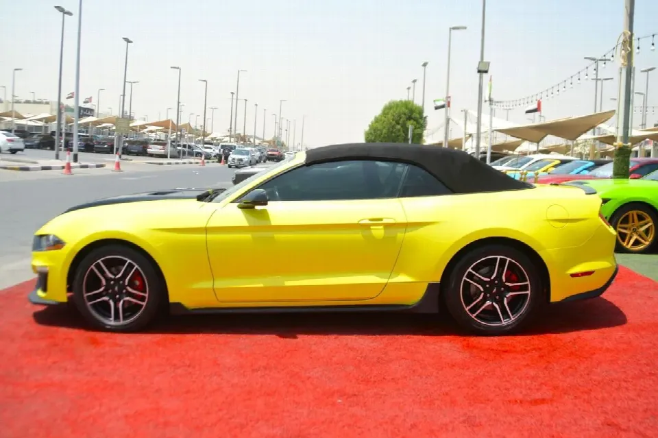 Ford Mustang 2019 — photo 12