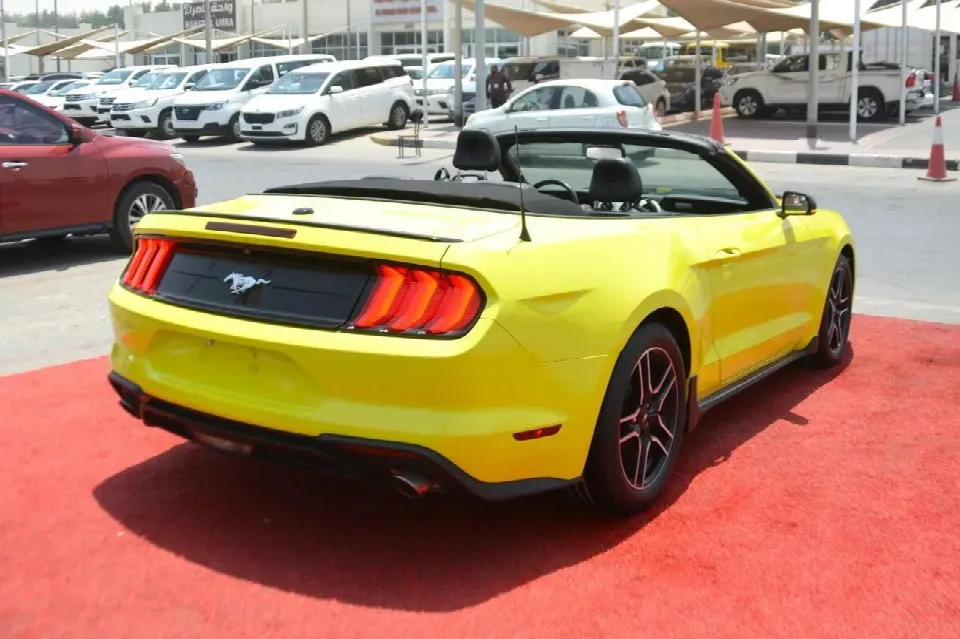 Ford Mustang 2019 — photo 6