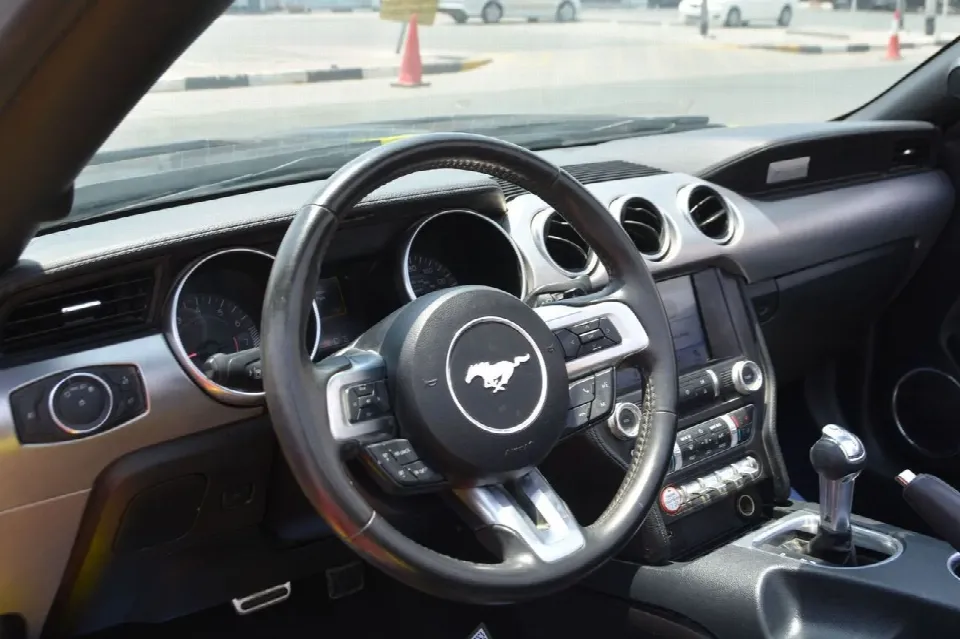 Ford Mustang 2019 — photo 19