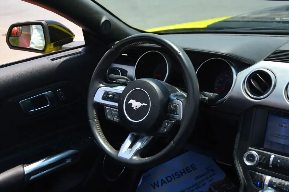 Ford Mustang 2019 — photo 11