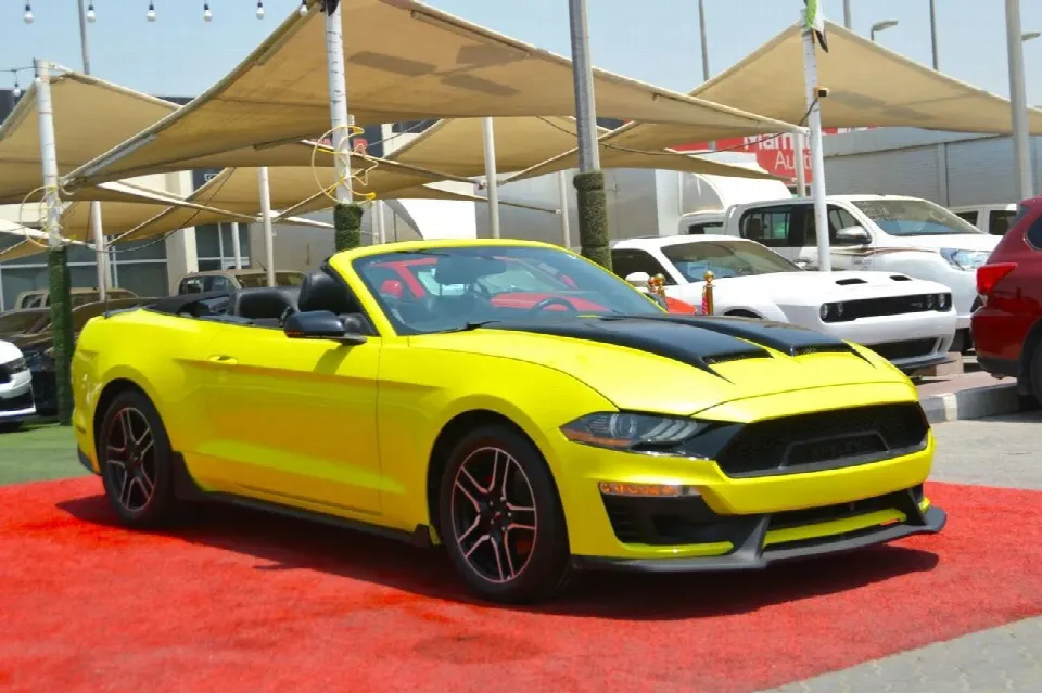 Ford Mustang 2019 — photo 3