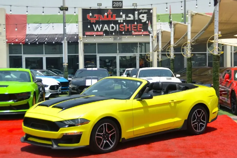 Ford Mustang 2019 — photo 1