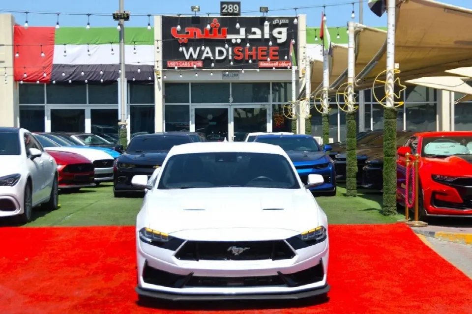 Ford Mustang 2024 — photo 2