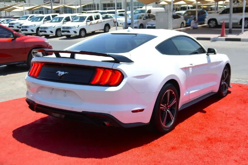 Ford Mustang 2024 — photo 5