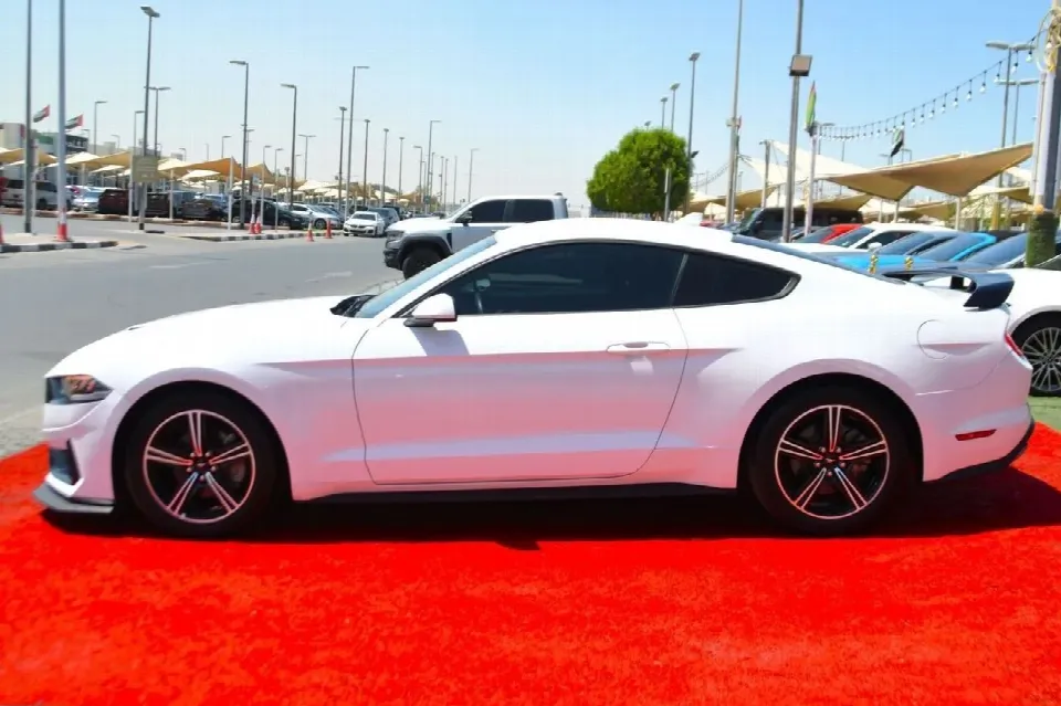 Ford Mustang 2024 — photo 17