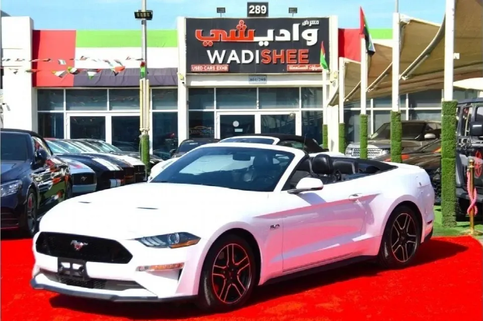 Ford Mustang 2019 — photo 1