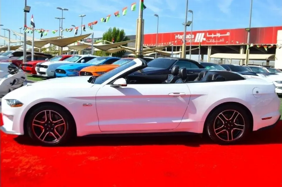 Ford Mustang 2019 — photo 12