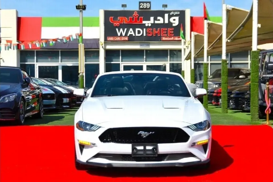 Ford Mustang 2019 — photo 2