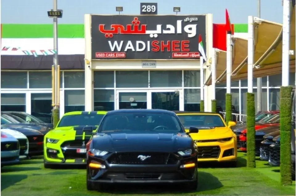 Ford Mustang 2022 — photo 2