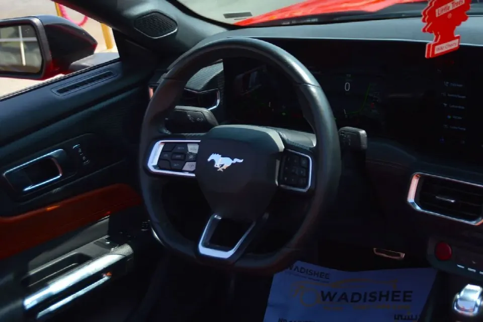 Ford Mustang 2024 — photo 16