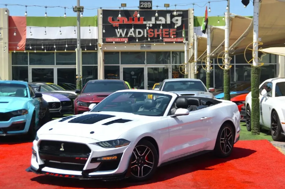 Ford Mustang 2023 — photo 1
